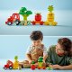 LEGO Duplo Traktor z warzywami i owocami (10982) 4