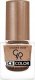 Golden Rose Golden Rose ICE COLOR NAIL Lakier do paznokci 168 1