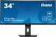 Monitor iiyama ProLite XCB3494WQSN-B5 1