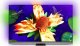 Telewizor Philips 55OLED907/12 OLED 55'' 4K Ultra HD Android Ambilight 2