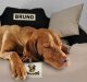 AIO FACTORY Legowisko personalizowane KINGDOG 100x75 ciemno szare 8