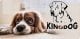 AIO FACTORY Legowisko personalizowane KINGDOG 55x45 Niebieskie 10