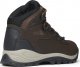 Buty trekkingowe damskie Columbia Buty Trekingowe Columbia NEWTON RIDGE PLUS Damskie 40,5 4