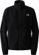 The North Face Polar The North Face ALPINE POLARTEC 200 FZ Damski M 1