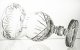 Crystal Julia Wazon kryształowy miejsce na grawerunek 30,5 cm 2