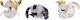 Figurka Spin Master Figurki Bakugan Legends Zestaw startowy 96 GML 4