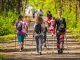 Verk KIJKI NORDIC WALKING 2szt ZESTAW KOŃCÓWKI ŁĄCZNIK 11