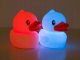 Verk LAMPKA NOCNA DLA DZIECI LED KACZKA RGB PILOT USB 6