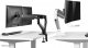 Neomounts Uchwyt biurkowy na 2 monitory 17" - 32" (DS75-450WH2) 15