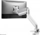 Neomounts Uchwyt biurkowy na monitor 17" - 42" (DS70-450WH1) 14