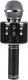 Mikrofon Mikrofon BLUETOOTH do KARAOKE 1