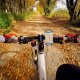 Alogy Alogy Uchwyt rowerowy Spider TPU Bike Holder do telefonu Silikonowy na rower motor hulajnoga quad Czarny 8