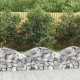 vidaXL vidaXL Łukowaty kosz gabionowy, 100x30x40/60 cm, galwanizowane żelazo 1