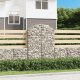vidaXL vidaXL Łukowaty kosz gabionowy 100x30x140/160 cm, galwanizowane żelazo 1