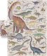 Czuczu Puzzle 200 element?w Puzzlove Dinozaury 1