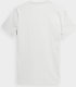 4f Tshirt Ciepły Jasny Szary r. S TTSHM366 1