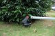 Yard Force 3w1, 12V, 4,0 Ah, 23 cm (YF-LMF24BN) 23