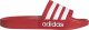 Adidas Klapki męskie ADIDAS ADILETTE SHOWER 37 1
