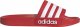 Adidas Klapki męskie ADIDAS ADILETTE SHOWER 37 5