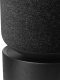 Głośnik Bang & Olufsen Beosound Balance AL2 Black oak - FLEX 3
