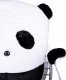 Krzesło biurowe Giosedio FOTEL BIUROWY DZIECIĘCY Panda GIOSEDIO FZP042 4