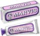 Marvis Pasta do zębów Marvis Jasmin Mint (25 ml) 1