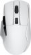 Mysz Dareu A955  (TM242F08602R) 1