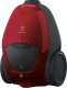 Odkurzacz Electrolux Odkurzacz ELECTROLUX Pure D8 PD82-ANIMA 2