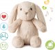 Cloud B Love Light Buddies Billy Bunny Szumiący Królik Lampka i Pozytywka 1