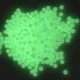 Kulki ASG 6mm FLUORESCENCYJNE Świecące Granat 800szt 3