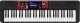 Casio CASIO CT-S1000V - Keyboard 1
