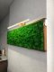 Kinkiet Toolight Kinkiet LED Gold 80cm APP835-1W 4