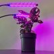 Gardlov Lampa 20 LED 2szt. do wzrostu roślin Gardlov 19241 6