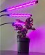 Gardlov Lampa 20 LED 3szt. do wzrostu roślin Gardlov 19242 4