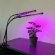 Gardlov Lampa 20 LED 3szt. do wzrostu roślin Gardlov 19242 8