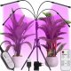 Gardlov Lampa 20 LED 4szt. do wzrostu roślin Gardlov 19388 1