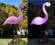 Gardlov Lampa ogrodowa solarna- flaming Gardlov (21151) 6