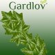 Gardlov Sztuczny bluszcz- girlanda 12,6m Gardlov 19733 25