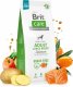 Brit BRIT CARE Dog Grain-free Adult Large Breed Salmon 12kg 2