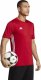 Adidas Koszulka adidas Tabela 23 JSY HT6552 5