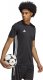 Adidas Koszulka adidas Tabela 23 JSY H44529 2