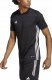 Adidas Koszulka adidas Tabela 23 JSY H44529 2