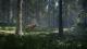 theHunter: Call of the Wild PC 4