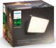 Kinkiet Philips Welcome Hue Floodlight Biała EU 3