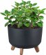 Prosperplast Doniczka GRACIA STANDARD - antracytowy DGRL350-S433 Prosperplast 1
