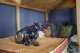 Schleich Schleich 70152 Smok z Cienia 1