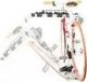 Buzz Rack CAR BIKE CARRIER BUFFALO 4 3