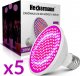 Lampa wisząca Heckermann Zestaw 5x Żarówka LED plant Heckermann 200LED 18WLED - 20W + Uchwyt 2