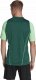 Adidas Koszulka męska adidas Tiro 23 Competition Jersey zielona HU1297 XS 9