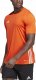 Adidas Koszulka męska adidas Tabela 23 Jersey pomarańczowa IB4927 S 1
